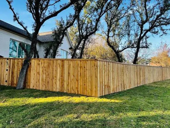 Cedar privacy fence wrapping a backyard under mature oak trees
